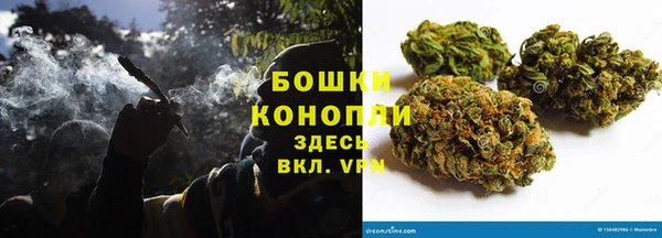 ГАЛЛЮЦИНОГЕННЫЕ ГРИБЫ Абаза