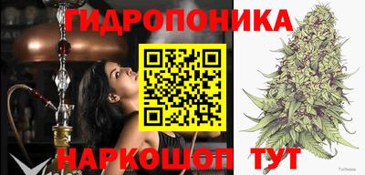 стафф Можга