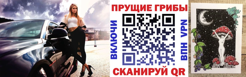 наркошоп  мега сайт  Галлюциногенные грибы Psilocybine cubensis  Шебекино 
