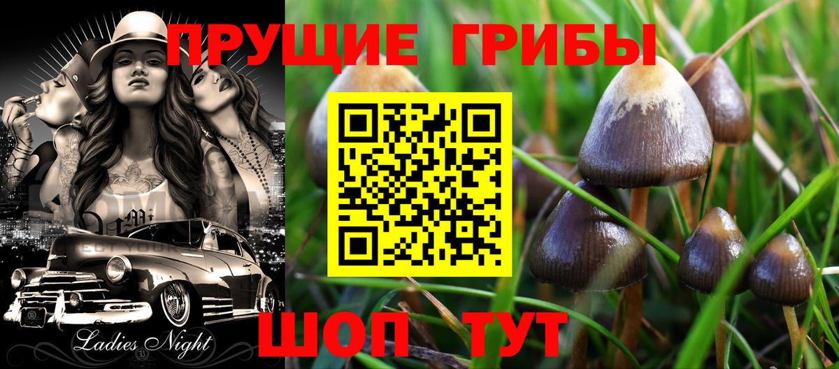 Шебекино  Галлюциногенные грибы Psilocybine cubensis  Вход с VPN  купить   Псилоцибиновые грибы MAGIC MUSHROOMS 
